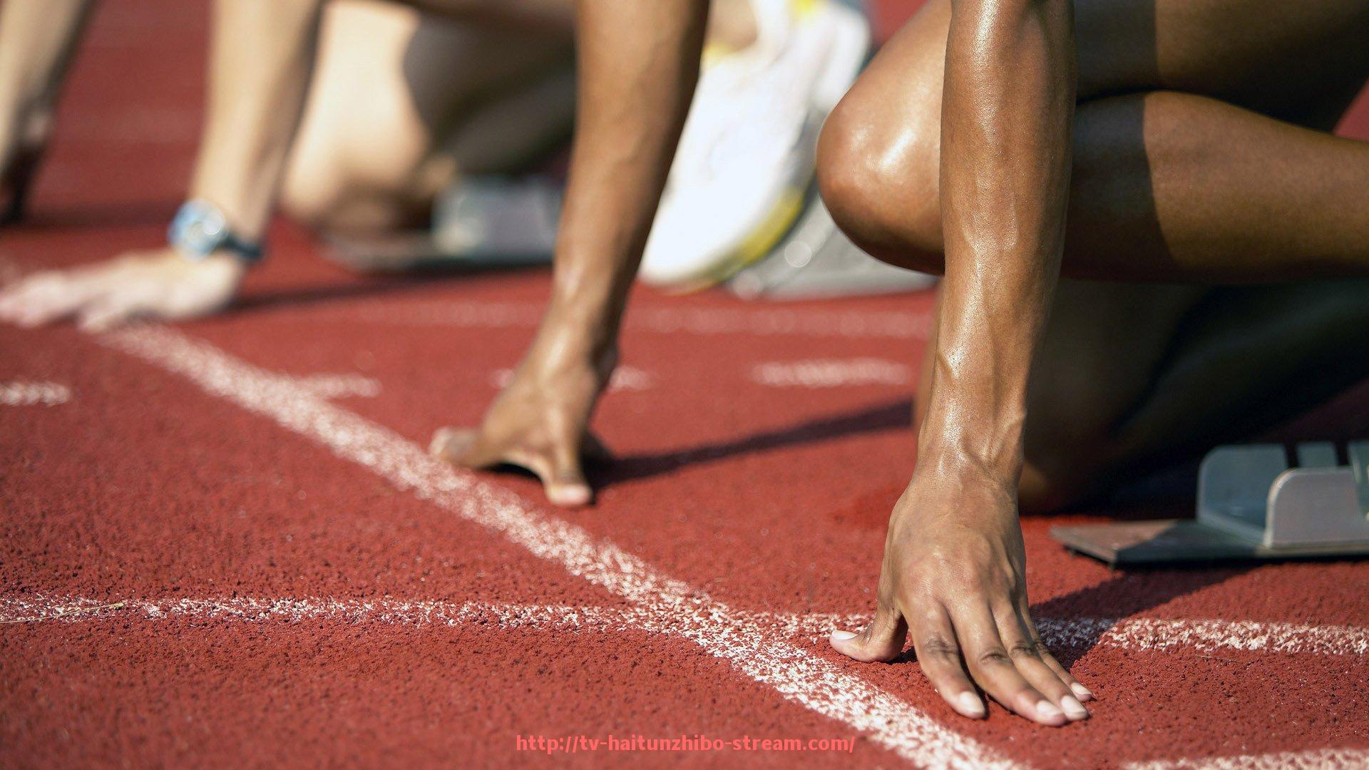 海豚直播-男的做健身器材的体育训练项目及效果分析