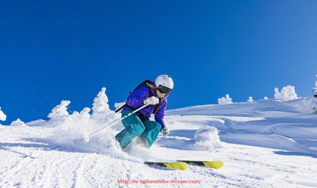 海豚直播-世俱杯赛事技术支持体系构建与实时数据保障