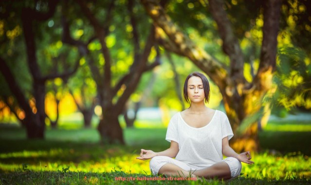 海豚直播-西安健身器材市场介绍：如何选择优质的健身器材供应商？